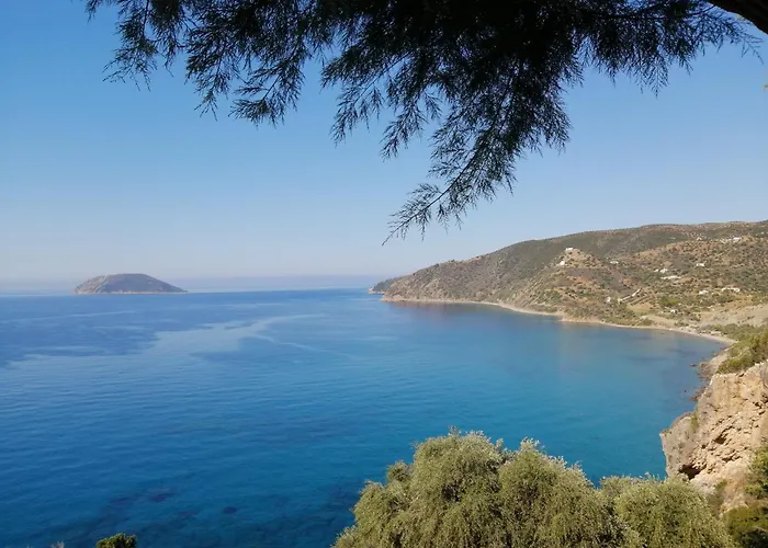 Sunny Summer Retreat - Perfect Location & Bbq Apartament
